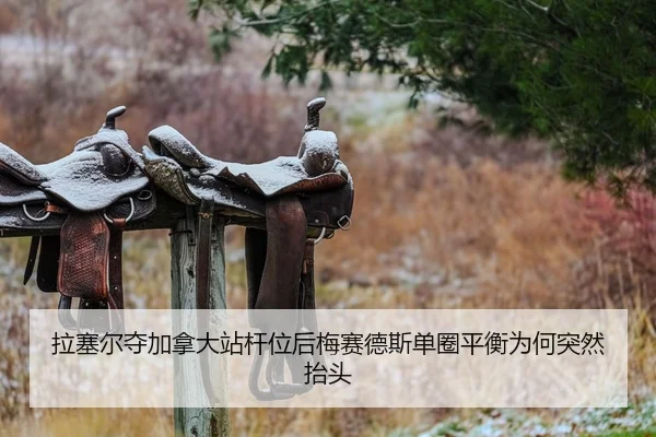 拉塞尔夺加拿大站杆位后梅赛德斯单圈平衡为何突然抬头