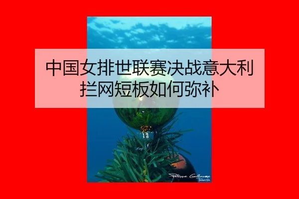 zhong-guo-nv-pai-shi-lian-sai-jue-zhan-yi-da-li-lan-wang-duan-ban-ru-he-mi-bu-3-997.jpg