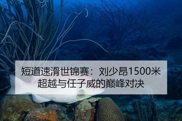 短道速滑世锦赛：刘少昂1500米超越与任子威的巅峰对决